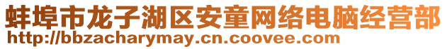 蚌埠市龍子湖區安童網絡電腦經營部