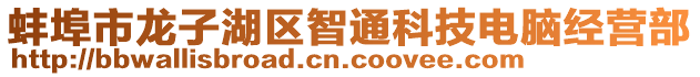 蚌埠市龍子湖區智通科技電腦經營部