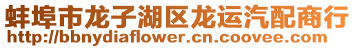 蚌埠市龍子湖區(qū)龍運汽配商行