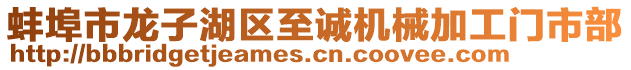 蚌埠市龍子湖區(qū)至誠機械加工門市部