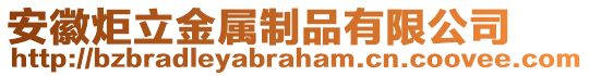 安徽炬立金屬制品有限公司