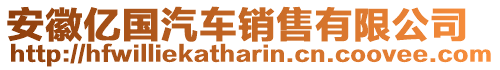 安徽億國(guó)汽車(chē)銷(xiāo)售有限公司