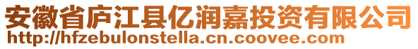 安徽省廬江縣億潤嘉投資有限公司