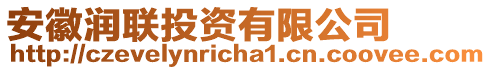 安徽潤聯(lián)投資有限公司