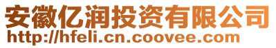 安徽億潤投資有限公司