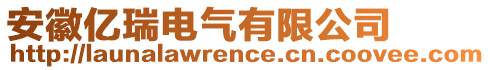 安徽億瑞電氣有限公司