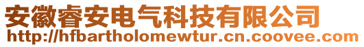 安徽睿安電氣科技有限公司