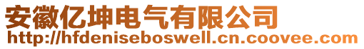 安徽億坤電氣有限公司