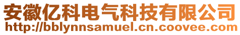 安徽億科電氣科技有限公司