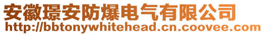 安徽璟安防爆電氣有限公司