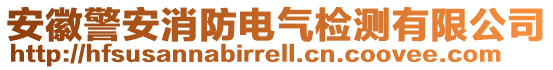 安徽警安消防電氣檢測(cè)有限公司