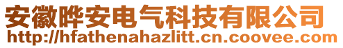 安徽曄安電氣科技有限公司