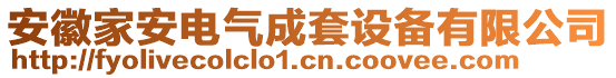 安徽家安電氣成套設(shè)備有限公司