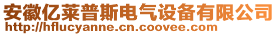 安徽億萊普斯電氣設(shè)備有限公司