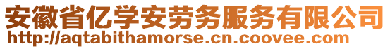 安徽省億學安勞務服務有限公司