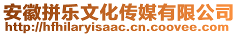 安徽拼乐文化传媒有限公司