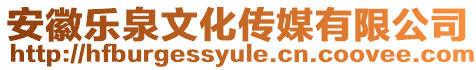 安徽樂泉文化傳媒有限公司