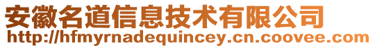 安徽名道信息技術(shù)有限公司