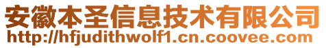 安徽本圣信息技術(shù)有限公司