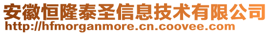 安徽恒隆泰圣信息技術(shù)有限公司