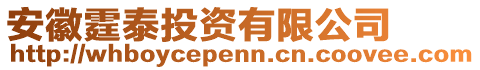 安徽霆泰投资有限公司