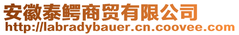 安徽泰鳄商贸有限公司