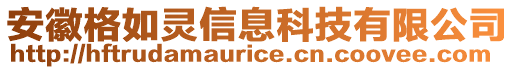 安徽格如靈信息科技有限公司