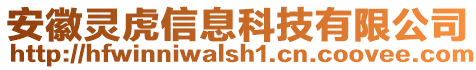 安徽靈虎信息科技有限公司