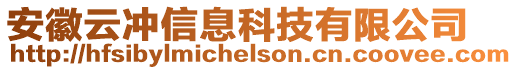 安徽云沖信息科技有限公司