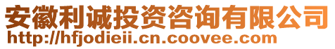 安徽利誠(chéng)投資咨詢有限公司