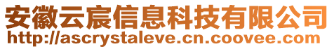 安徽云宸信息科技有限公司