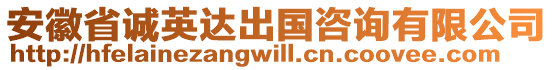 安徽省誠英達(dá)出國咨詢有限公司