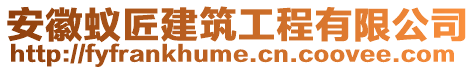 安徽蟻匠建筑工程有限公司