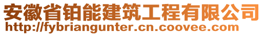 安徽省鉑能建筑工程有限公司