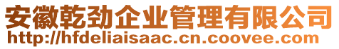 安徽乾勁企業(yè)管理有限公司