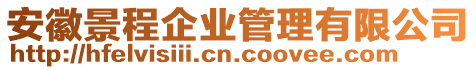 安徽景程企業(yè)管理有限公司