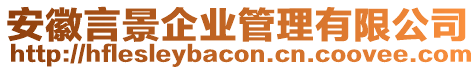 安徽言景企業(yè)管理有限公司