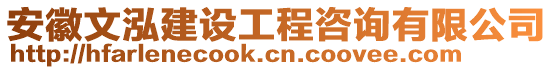 安徽文泓建設(shè)工程咨詢有限公司