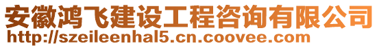 安徽鴻飛建設(shè)工程咨詢有限公司