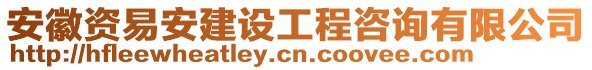 安徽資易安建設工程咨詢有限公司