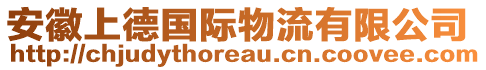 安徽上德國(guó)際物流有限公司