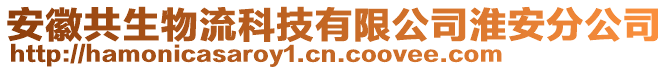 安徽共生物流科技有限公司淮安分公司