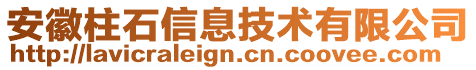 安徽柱石信息技術(shù)有限公司