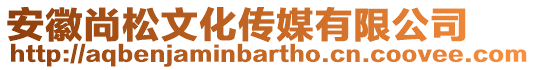 安徽尚松文化傳媒有限公司