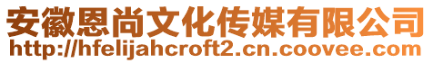 安徽恩尚文化傳媒有限公司