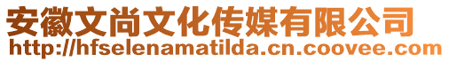 安徽文尚文化傳媒有限公司