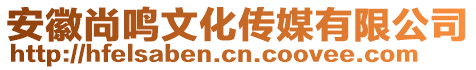 安徽尚鳴文化傳媒有限公司