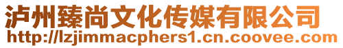 瀘州臻尚文化傳媒有限公司