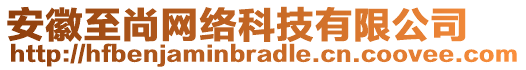 安徽至尚網(wǎng)絡(luò)科技有限公司