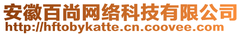 安徽百尚網(wǎng)絡(luò)科技有限公司